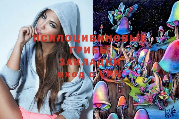 Альфа ПВП Михайлов