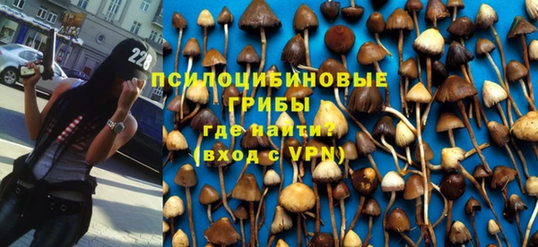 Альфа ПВП Михайлов