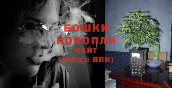 прущие крисы Губаха